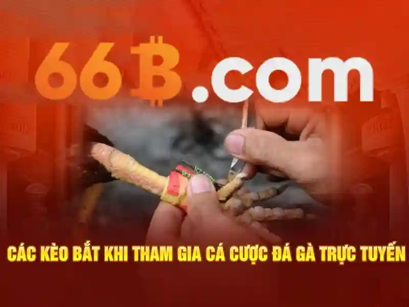 Ứng dụng của 66B