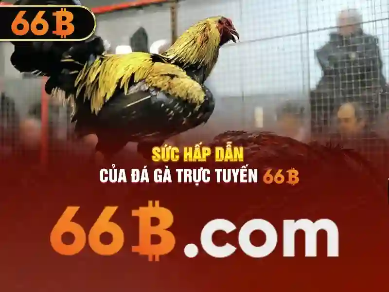66B: Mô hình ngôn ngữ quy mô 66 tỷ tham số