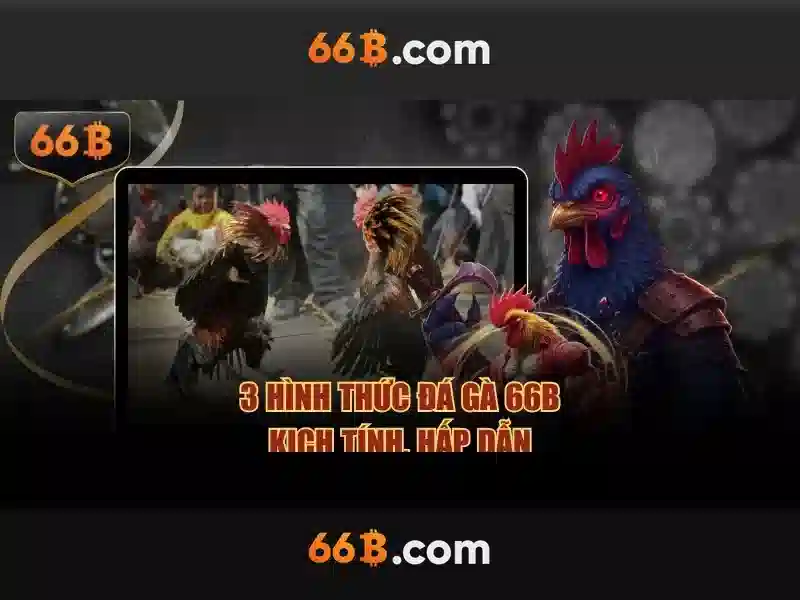 66b: Khái niệm và ảnh hưởng trong công nghệ hiện đại