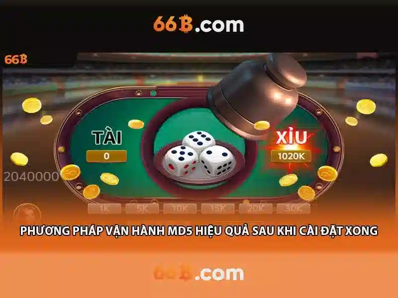 66b – một ký hiệu của thời đại số