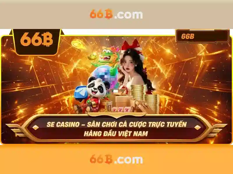 Ứng dụng và triển vọng
