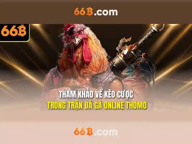 66b là gì