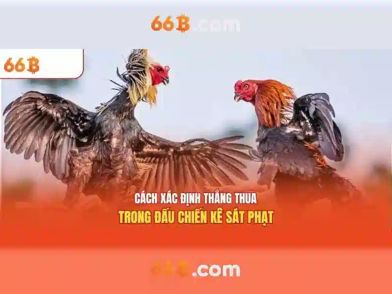 Kiến trúc và dữ liệu