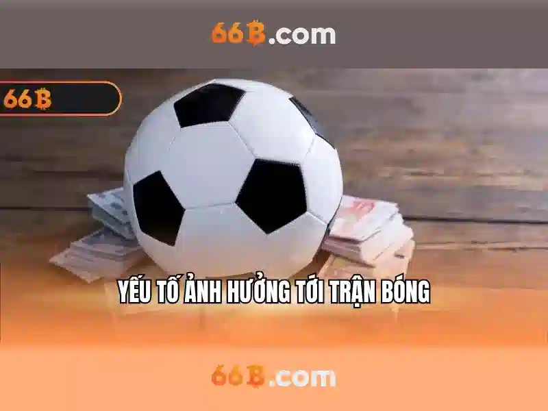 66B là gì 66B là gì