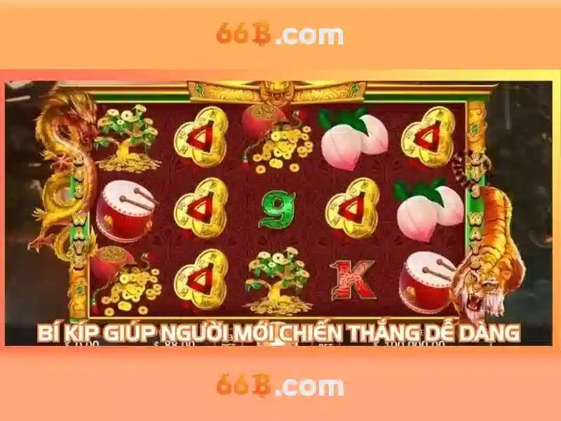 Khái niệm 66B và lịch sử Khái niệm 66B và lịch sử