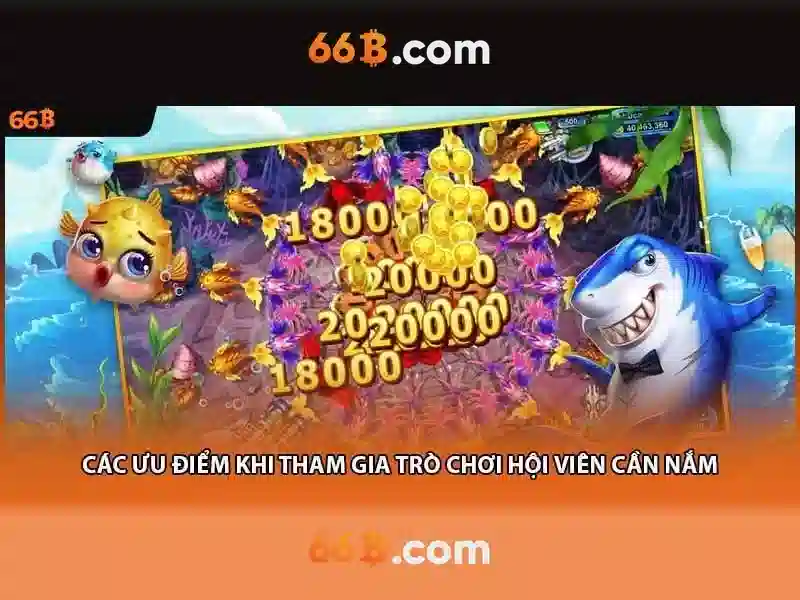 Giới thiệu về mô hình 66B