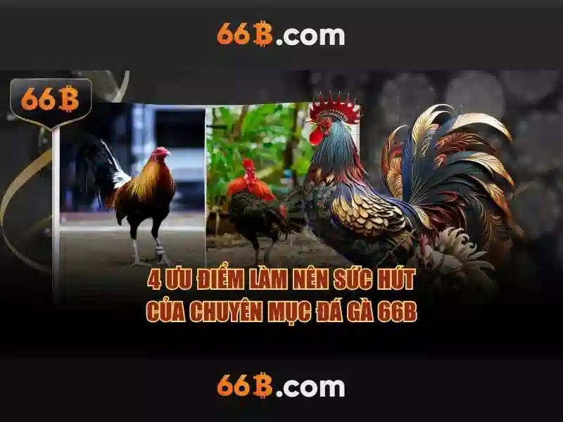 Giới thiệu về 66b Giới thiệu về 66b