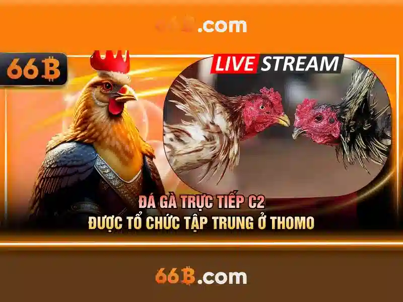 Hiệu suất và ứng dụng