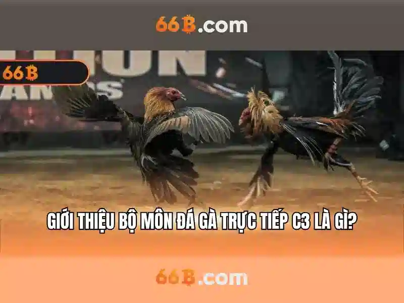 Mô hình 66b: Hiểu biết và ứng dụng