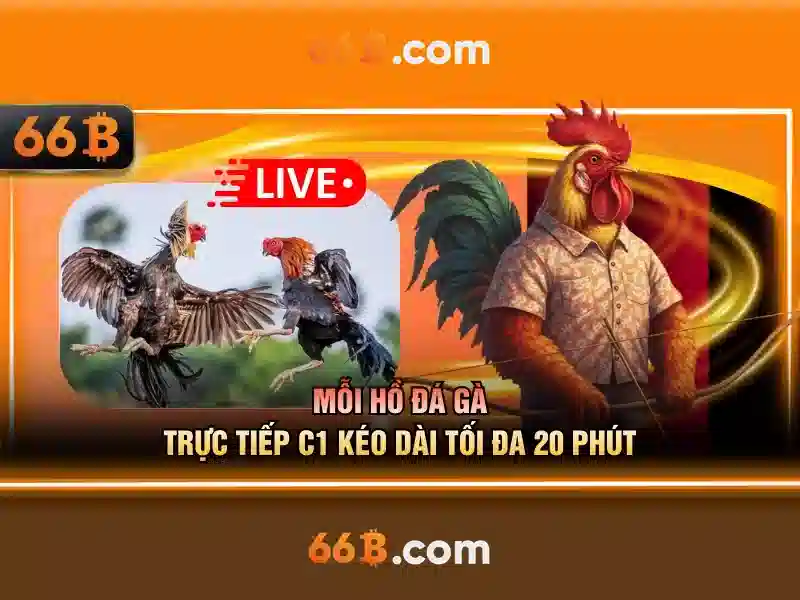 66B là gì?