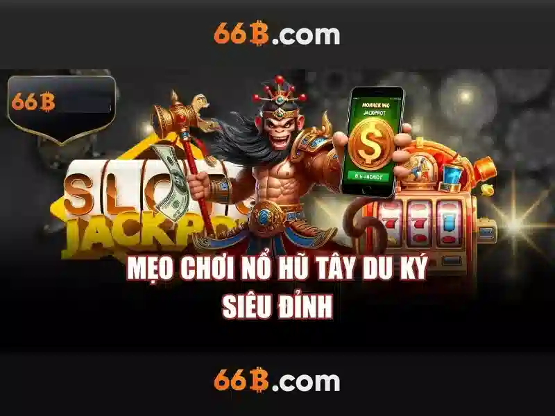 66b là gì?