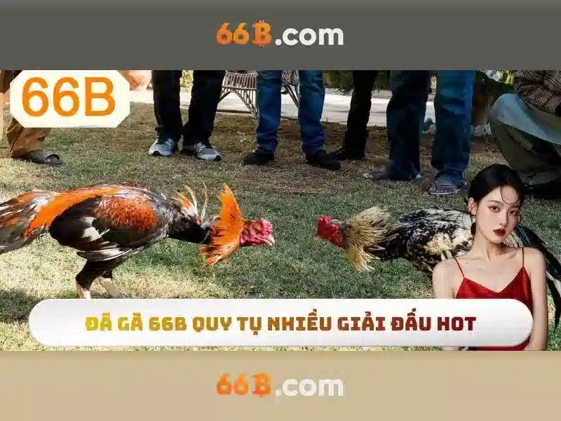 66B: Mô hình ngôn ngữ 66B và những điều bạn cần biết