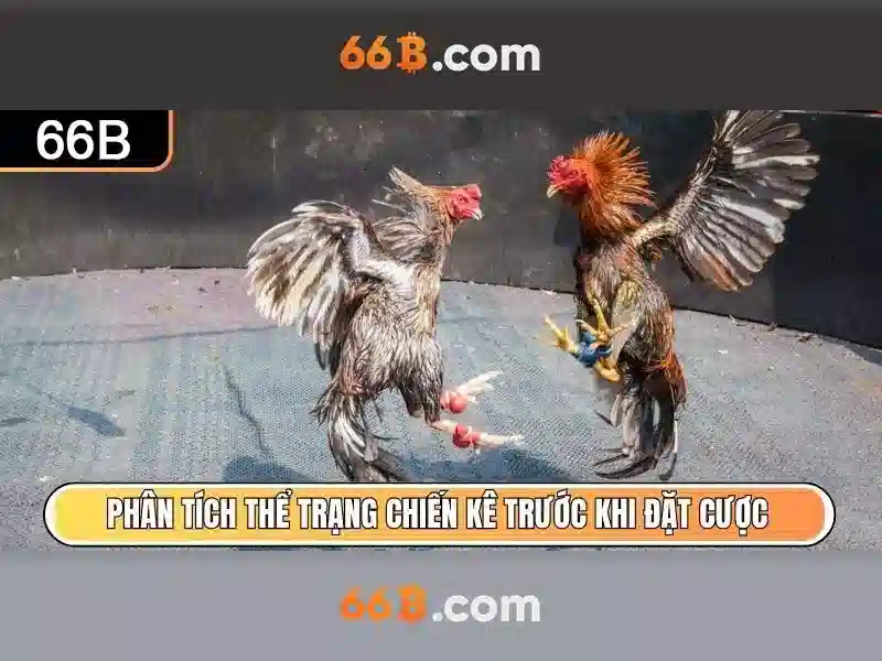 Thông số kỹ thuật của 66B
