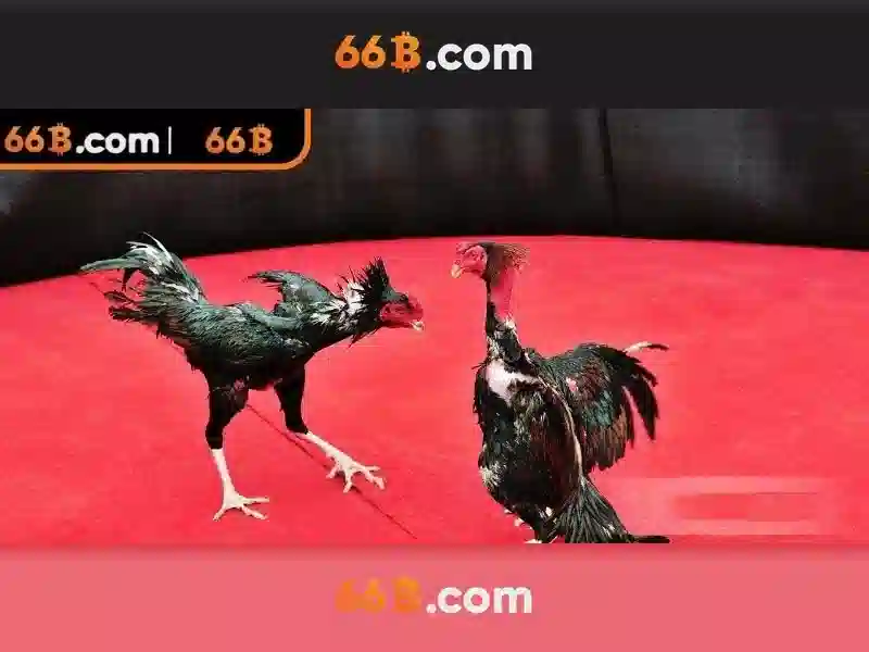 66b: ký hiệu và câu chuyện đằng sau