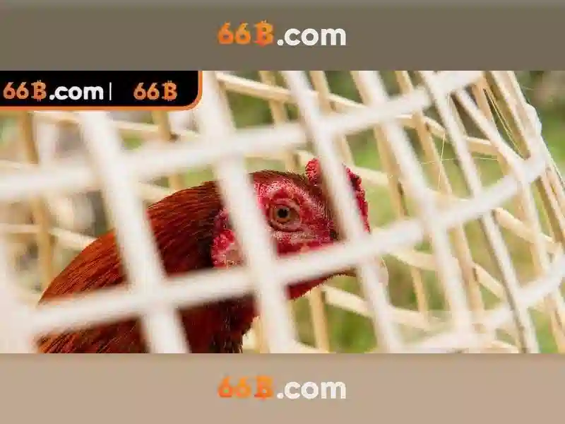 Kiến trúc và công nghệ đằng sau 66b Kiến trúc và công nghệ đằng sau 66b