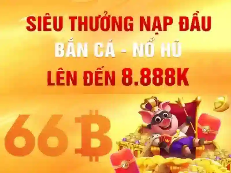 66b là gì?