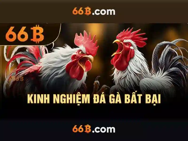 Kiến trúc và cơ sở dữ liệu của 66b