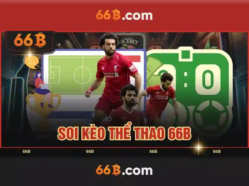 Giới thiệu về 66b