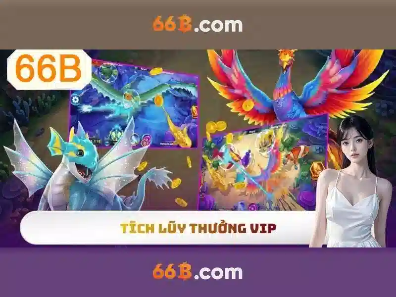 66B là gì?