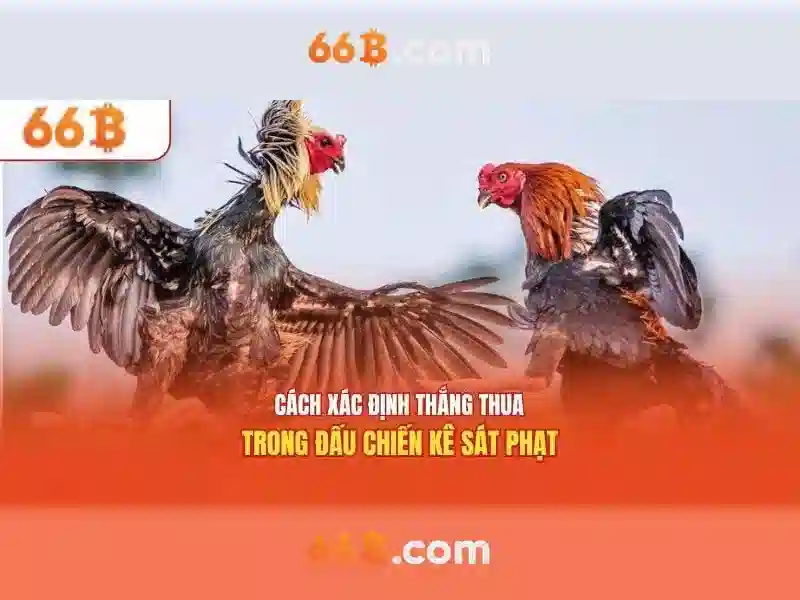 66B: Phân tích mô hình ngôn ngữ lớn 66 tỷ tham số