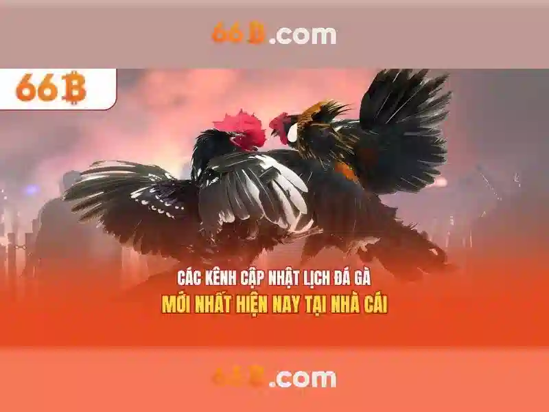 Các ứng dụng của 66b