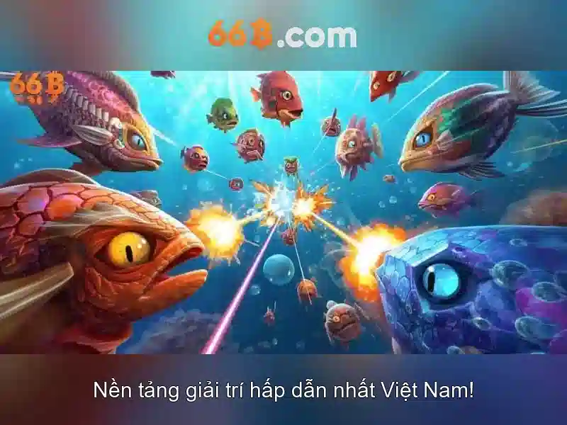 66b: khái niệm và tác động
