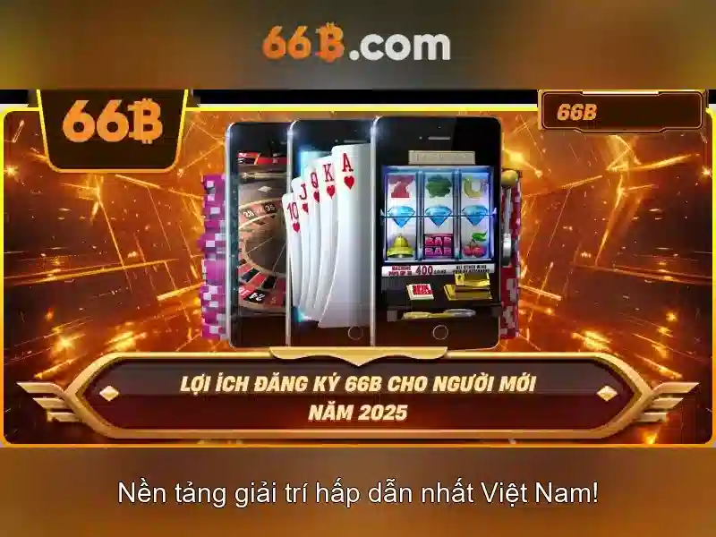 66b trong công nghệ và mô hình ngôn ngữ