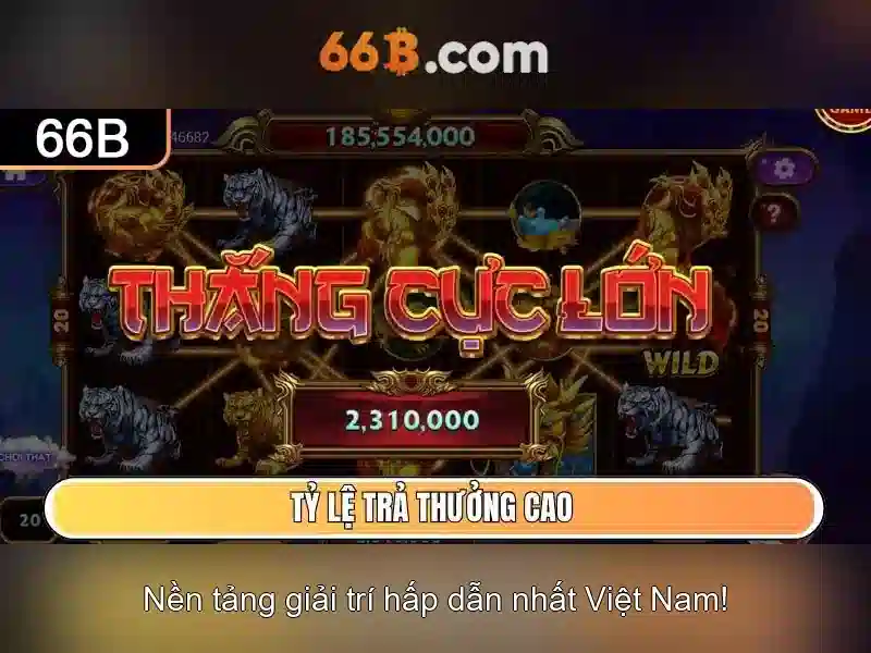 66b là gì?