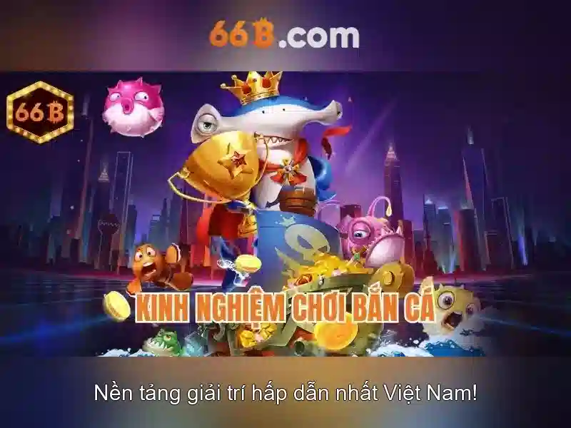 Kiến trúc và kích thước của 66B