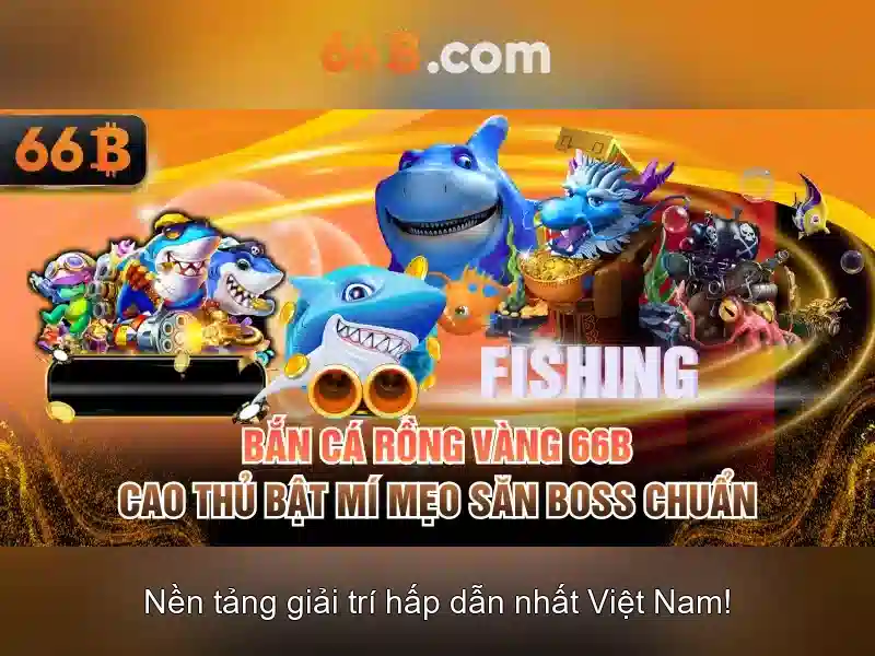 Phân bổ và thách thức khi làm việc với 66b