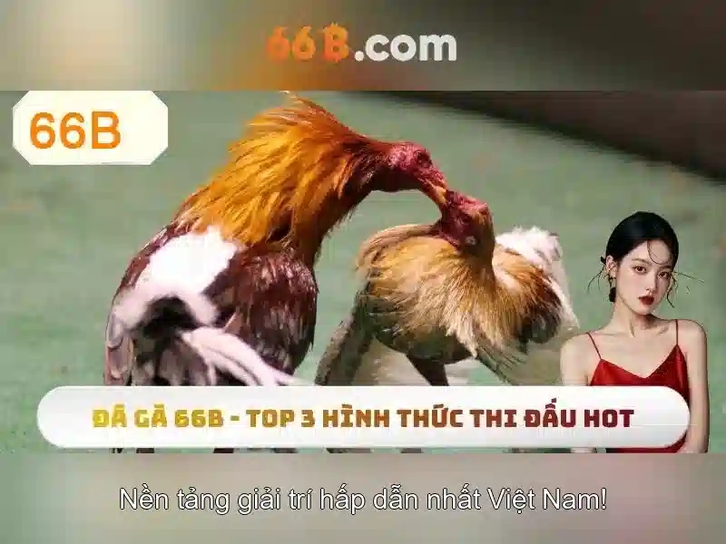 66B: Mô hình ngôn ngữ 66 tỷ tham số và tiềm năng ứng dụng