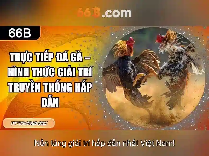 Kiến trúc và đặc điểm nổi bật của 66B Kiến trúc và đặc điểm nổi bật của 66B
