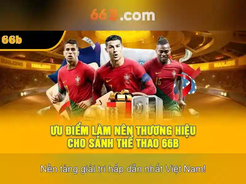 Đặc điểm nổi bật của 66B