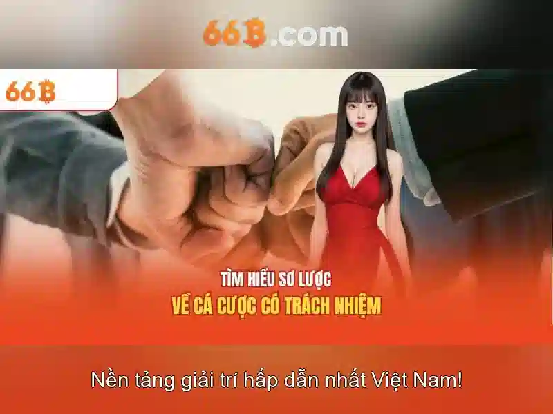 Các tính năng nổi bật của 66b Các tính năng nổi bật của 66b