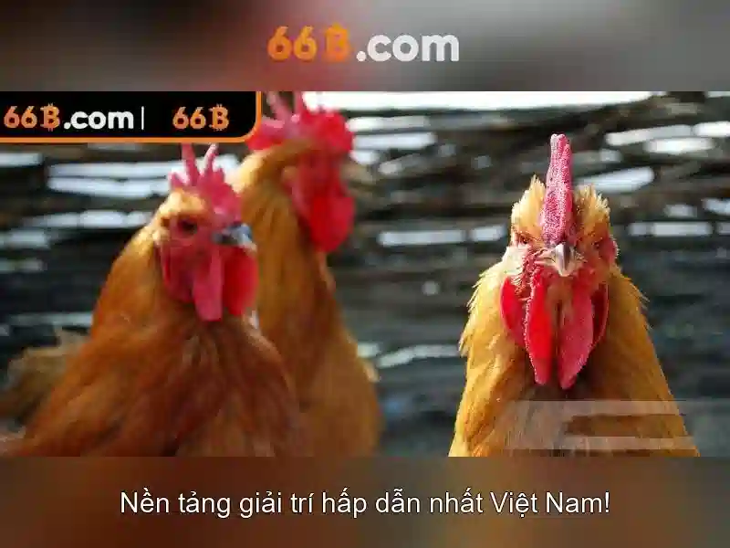 Cấu trúc và kích thước