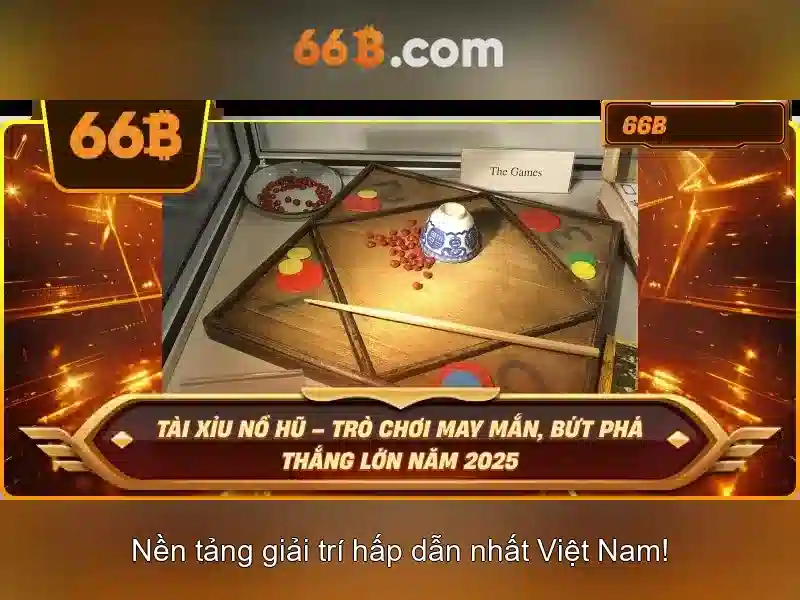 Giới thiệu về 66B