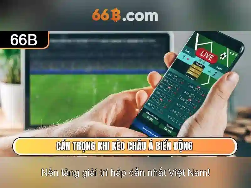 66b: một khái niệm sáng tạo và tiềm năng