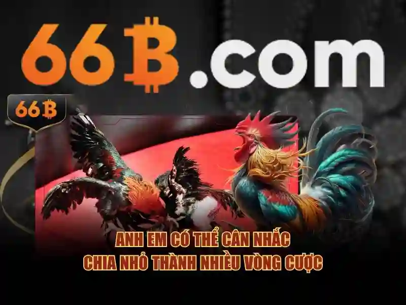 66b: Khái niệm và ứng dụng trong nhiều lĩnh vực