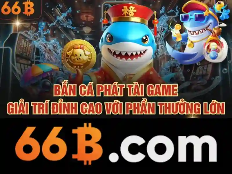 66B là gì và tại sao nó quan trọng