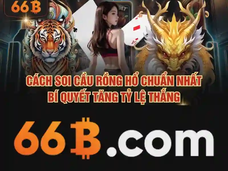 66b là gì? Khám phá khái niệm và ứng dụng