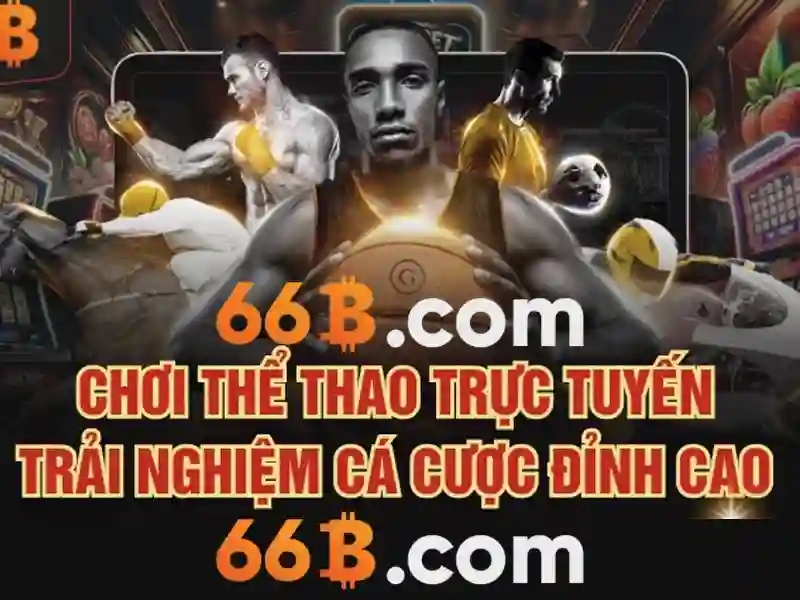 Định nghĩa 66B