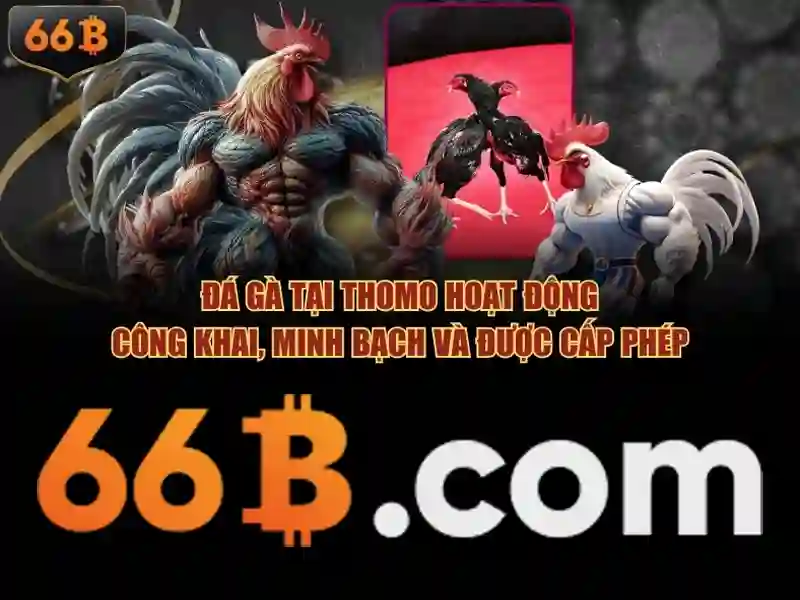 Khả năng và hạn chế của 66B Khả năng và hạn chế của 66B