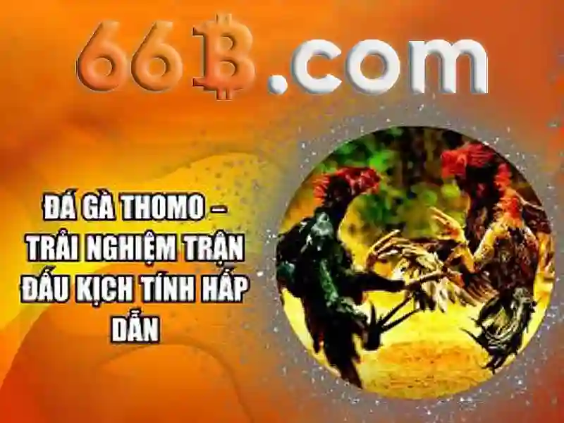 Định nghĩa và nguồn gốc