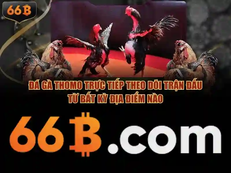 Ảnh hưởng của 66b đối với ngành công nghệ