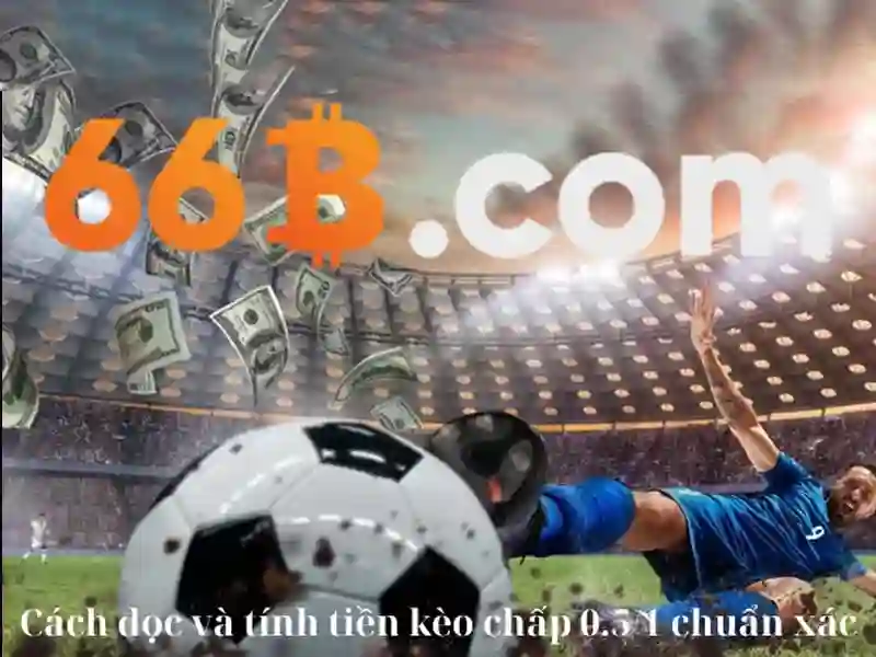 Khái niệm và tham số của 66B