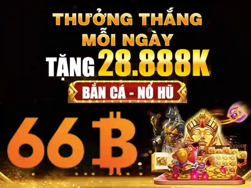 66b là gì?