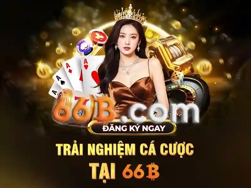 66B là gì?
